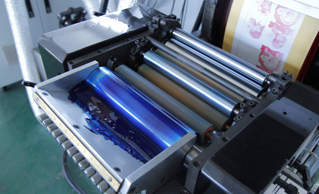 Flexo Printing Mechines 